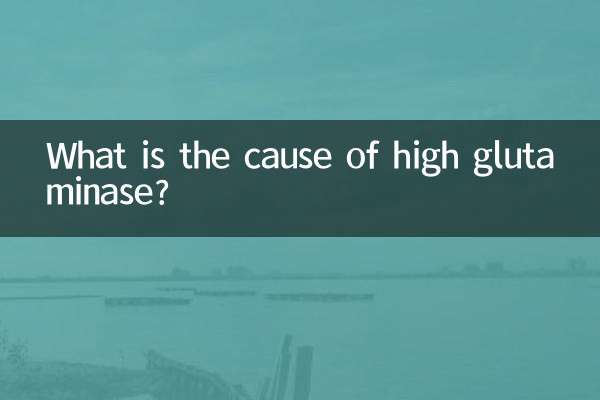 谷氨酶高是怎么回事