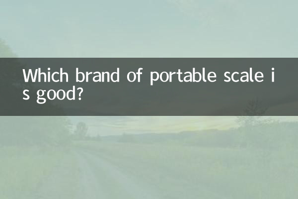 휴대용 체중계 어떤 브랜드가 좋은가요?