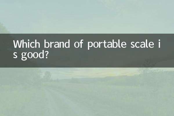 手提秤什麼牌子好