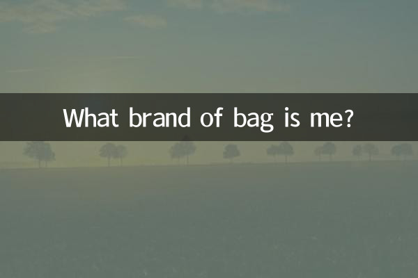 Che marca di borsa sono?