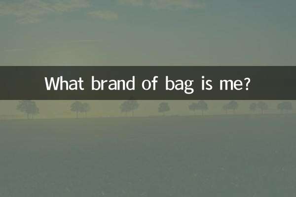 Che marca di borsa sono?