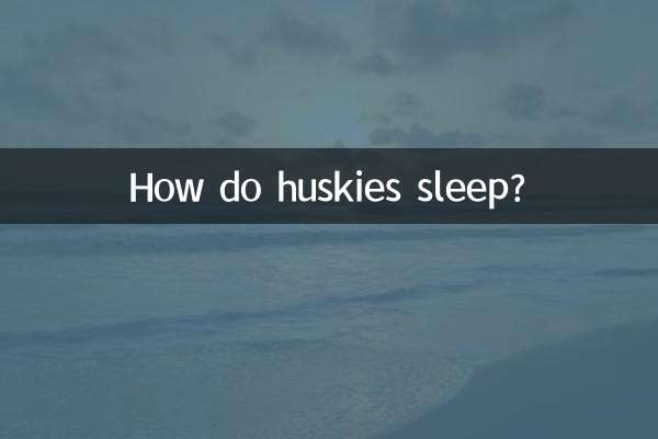 هاسکی ها چگونه می خوابند؟