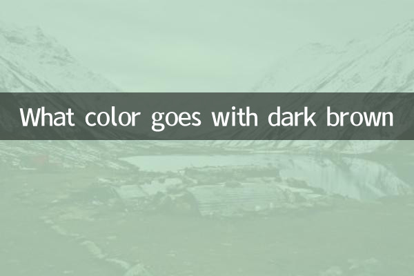 다크 브라운에는 어떤 색이 어울리는지