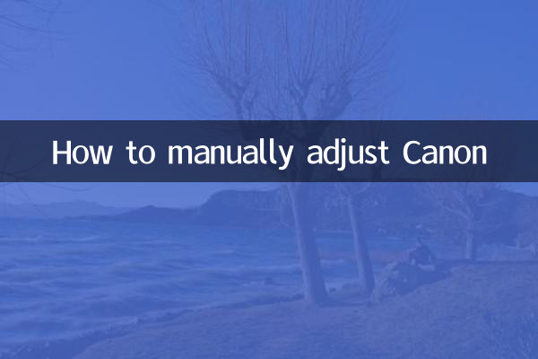 Como ajustar manualmente a Canon