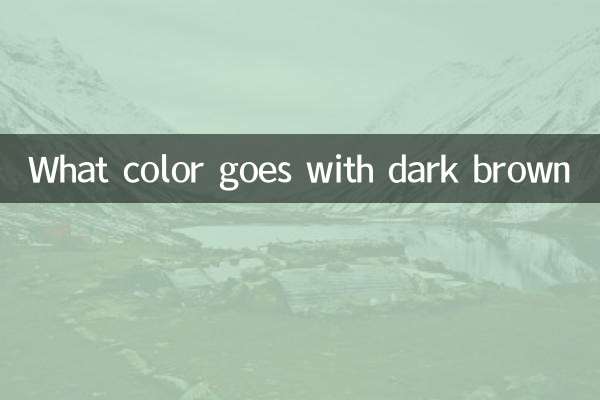 Quelle couleur va avec le marron foncé