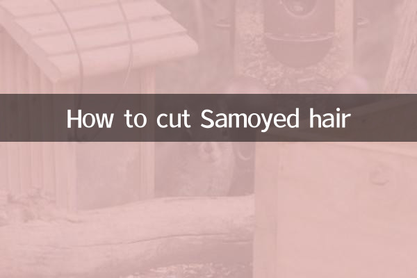 Cómo cortar el cabello samoyed