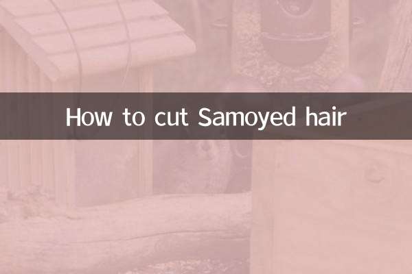 How to cut Samoyed hair