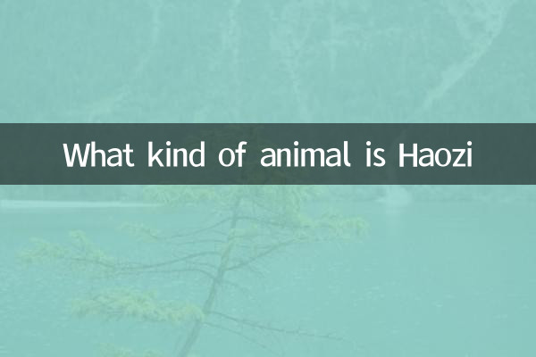 어떤 종류의 동물은 Haozi입니다
