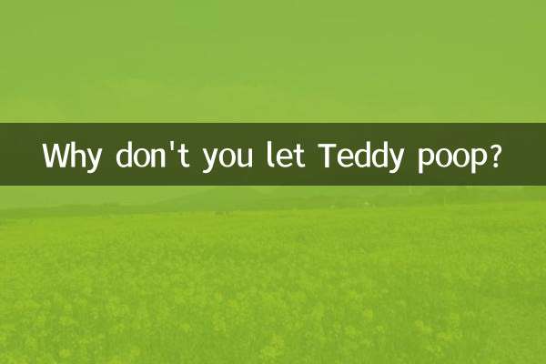 Warum lässt du Teddy nicht kacken?