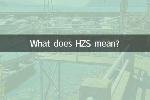 HZS什么意思