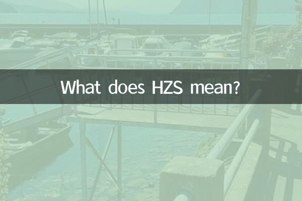 HZSってどういう意味ですか？