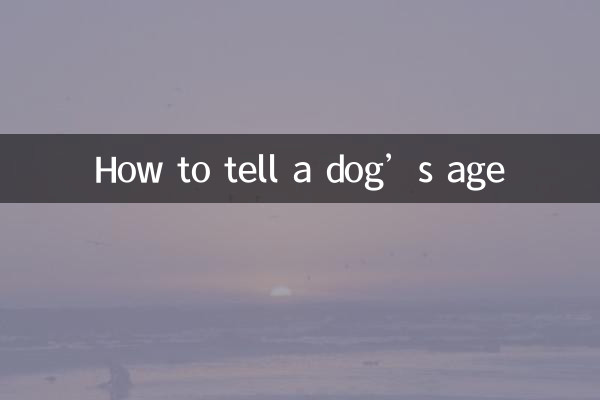 How to tell a dog’s age