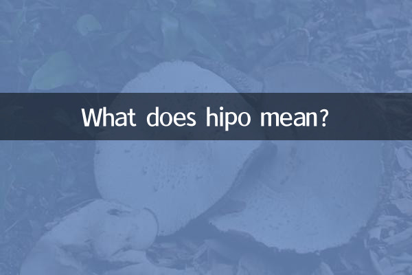 হিপো মানে কি?