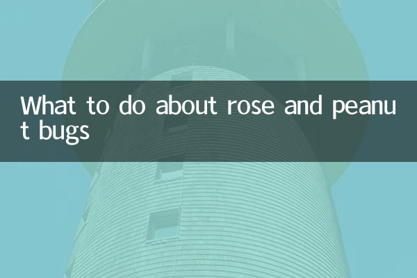 Qué hacer con las chinches de las rosas y los cacahuetes