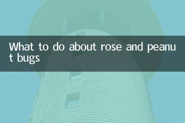 玫瑰花生虫子怎么办