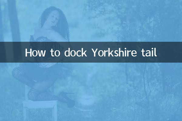 Come agganciare la coda dello Yorkshire