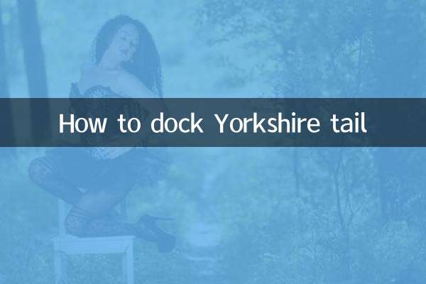 Come agganciare la coda dello Yorkshire