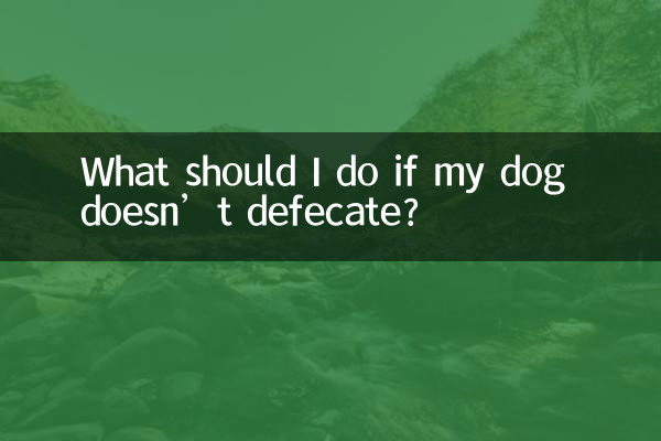 O que devo fazer se meu cachorro não defecar?