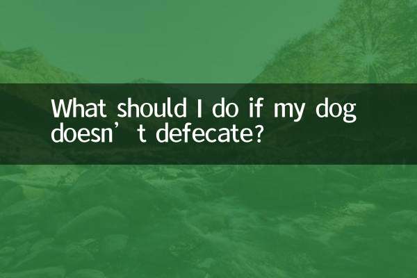 O que devo fazer se meu cachorro não defecar?