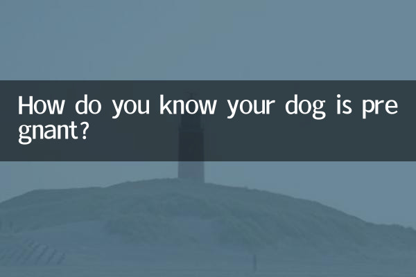 چگونه می دانید سگ شما باردار است؟