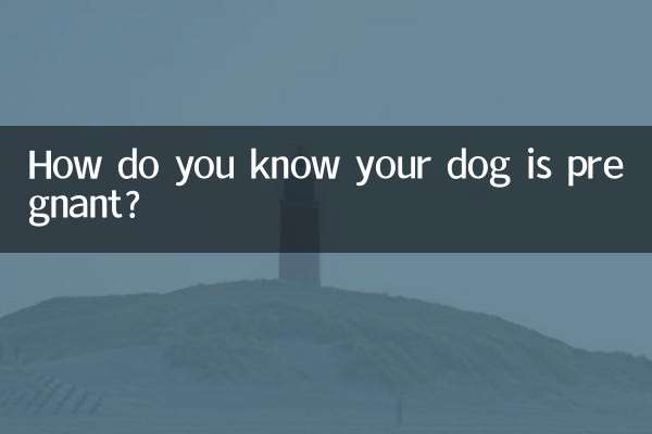 چگونه می دانید سگ شما باردار است؟