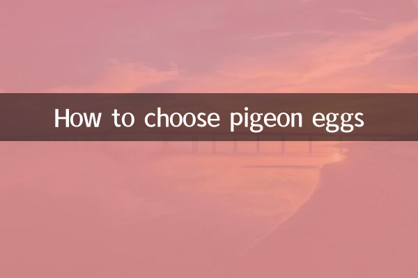 كيفية اختيار بيض الحمام