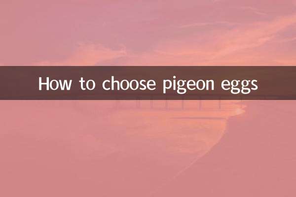 Как выбрать голубиные яйца