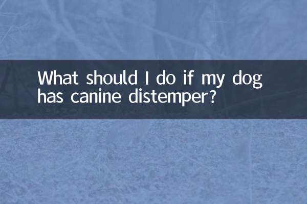 우리 강아지가 개 홍역에 걸렸다면 어떻게 해야 하나요?