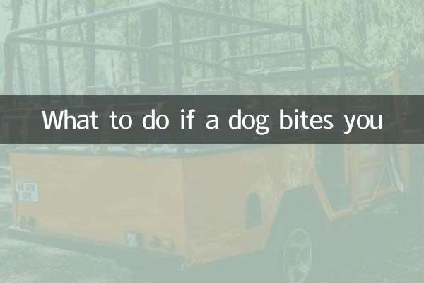 Qué hacer si te muerde un perro