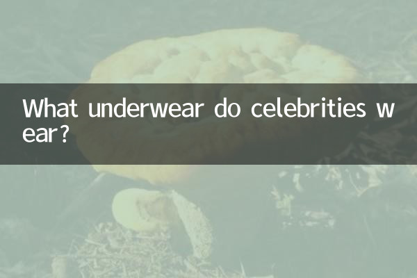 مشہور شخصیات کون سے انڈرویئر پہنتی ہیں؟