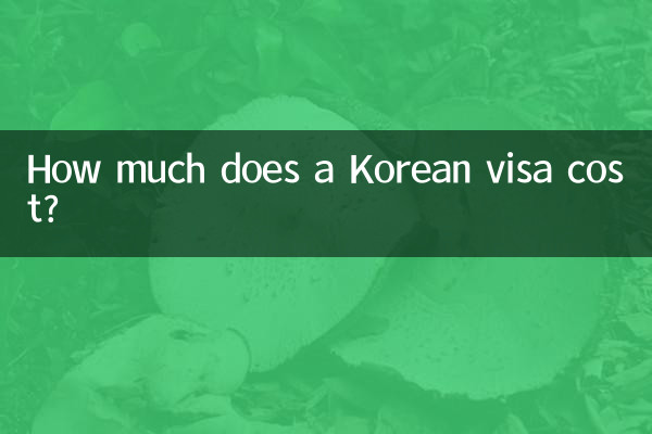 How much does a Korean visa cost?