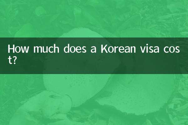 How much does a Korean visa cost?
