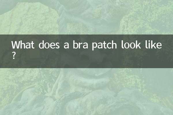 ব্রা প্যাচ দেখতে কেমন?