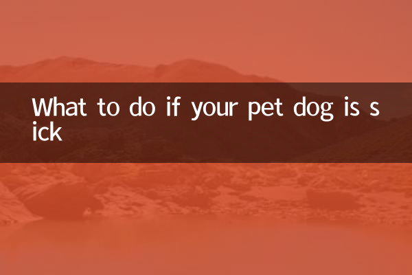 What to do if your pet dog is sick