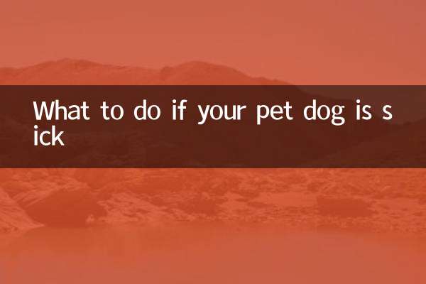 What to do if your pet dog is sick