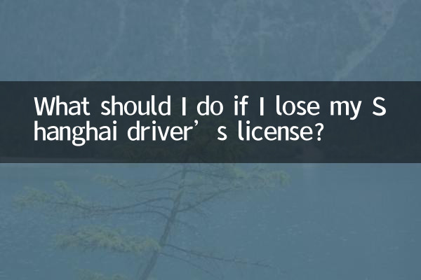 আমি আমার সাংহাই ড্রাইভিং লাইসেন্স হারিয়ে ফেললে আমার কী করা উচিত?