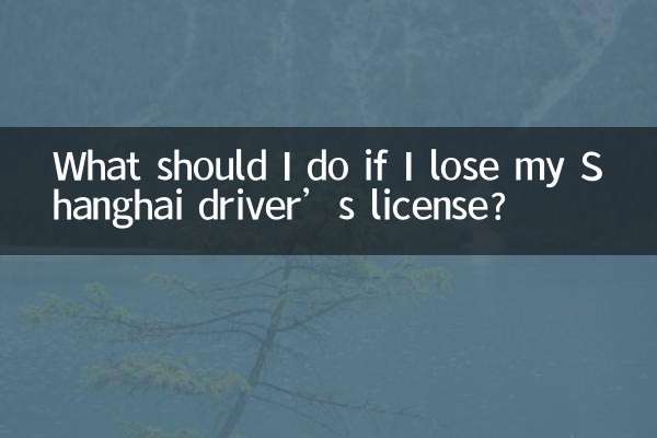 Cosa devo fare se perdo la patente di guida di Shanghai?