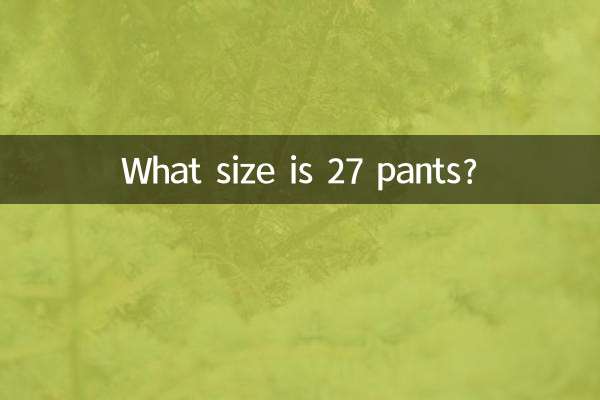 27바지 사이즈 몇인가요?