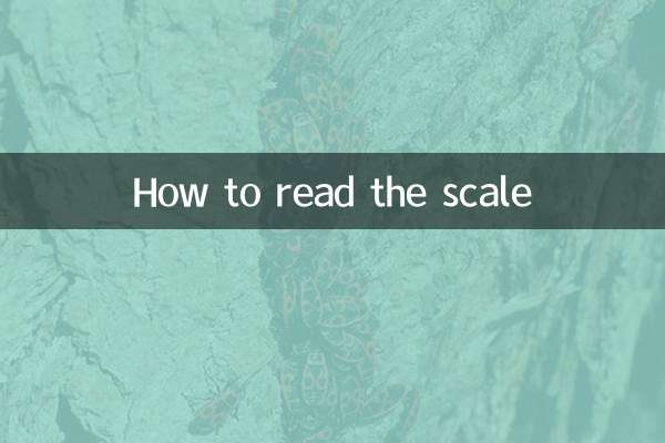 スケールの見方