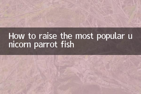 Come allevare il pesce pappagallo unicorno più popolare