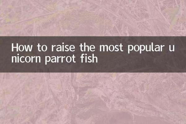 麒麟鹦鹉鱼怎么养最红