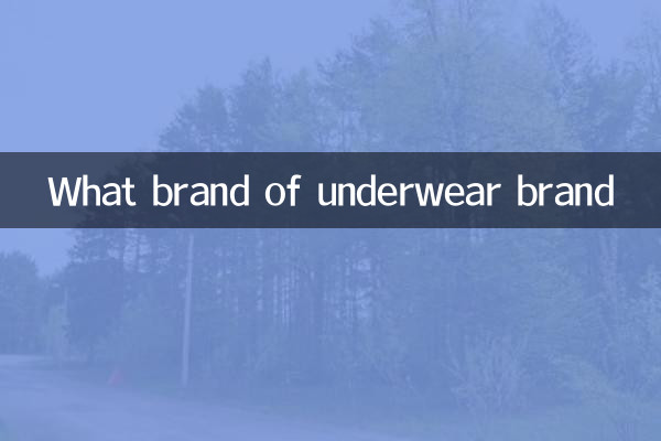 আন্ডারওয়্যার কি ব্র্যান্ডের ব্র্যান্ড