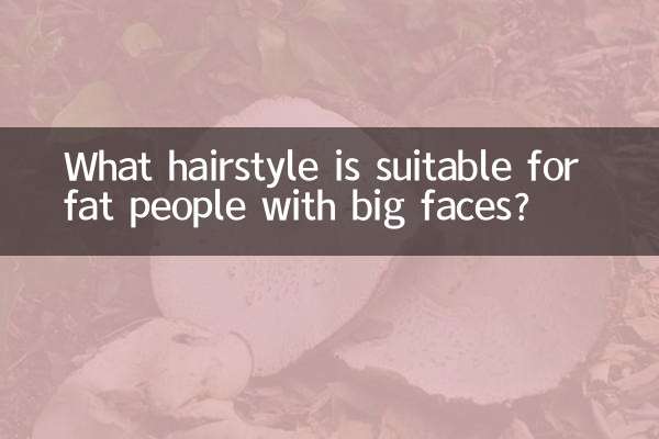 胖子臉大適合什麼髮型