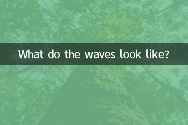 什麼的浪花像什麼