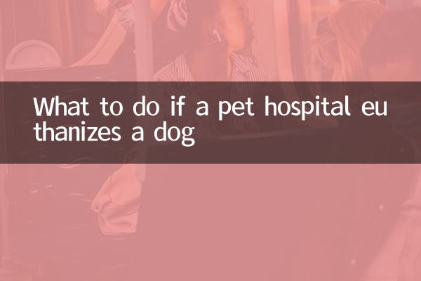 宠物医院治死狗怎么办