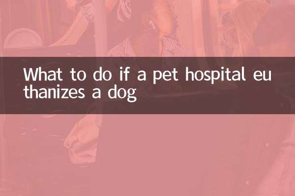 宠物医院治死狗怎么办