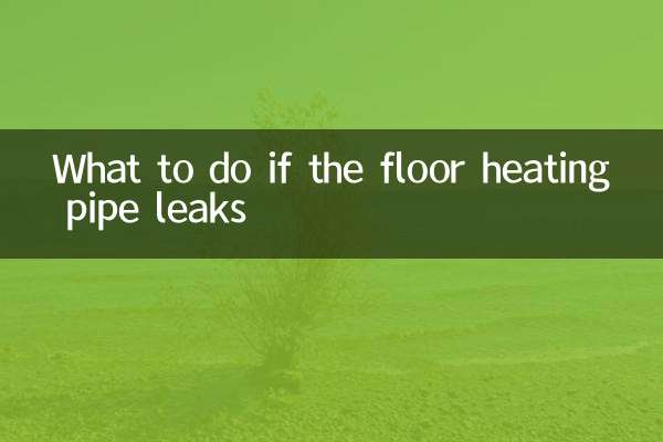 地暖水管漏了怎么办