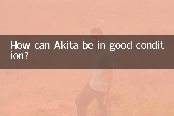 ¿Cómo puede Akita estar en buenas condiciones?