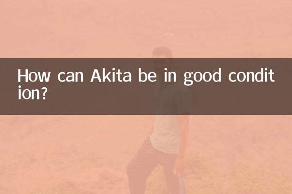 Como o Akita pode estar em boas condições?