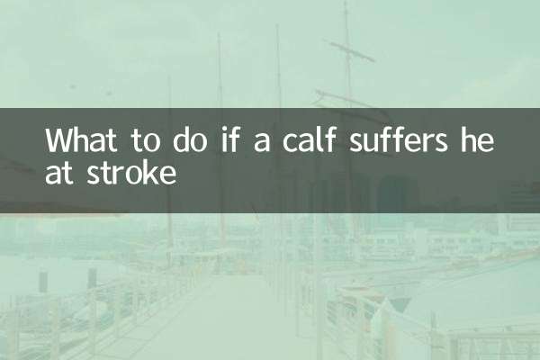 Was tun, wenn ein Kalb einen Hitzschlag erleidet?